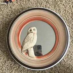 Owl Mirror