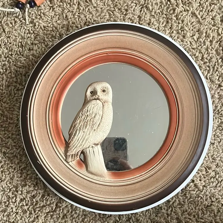 Owl Mirror