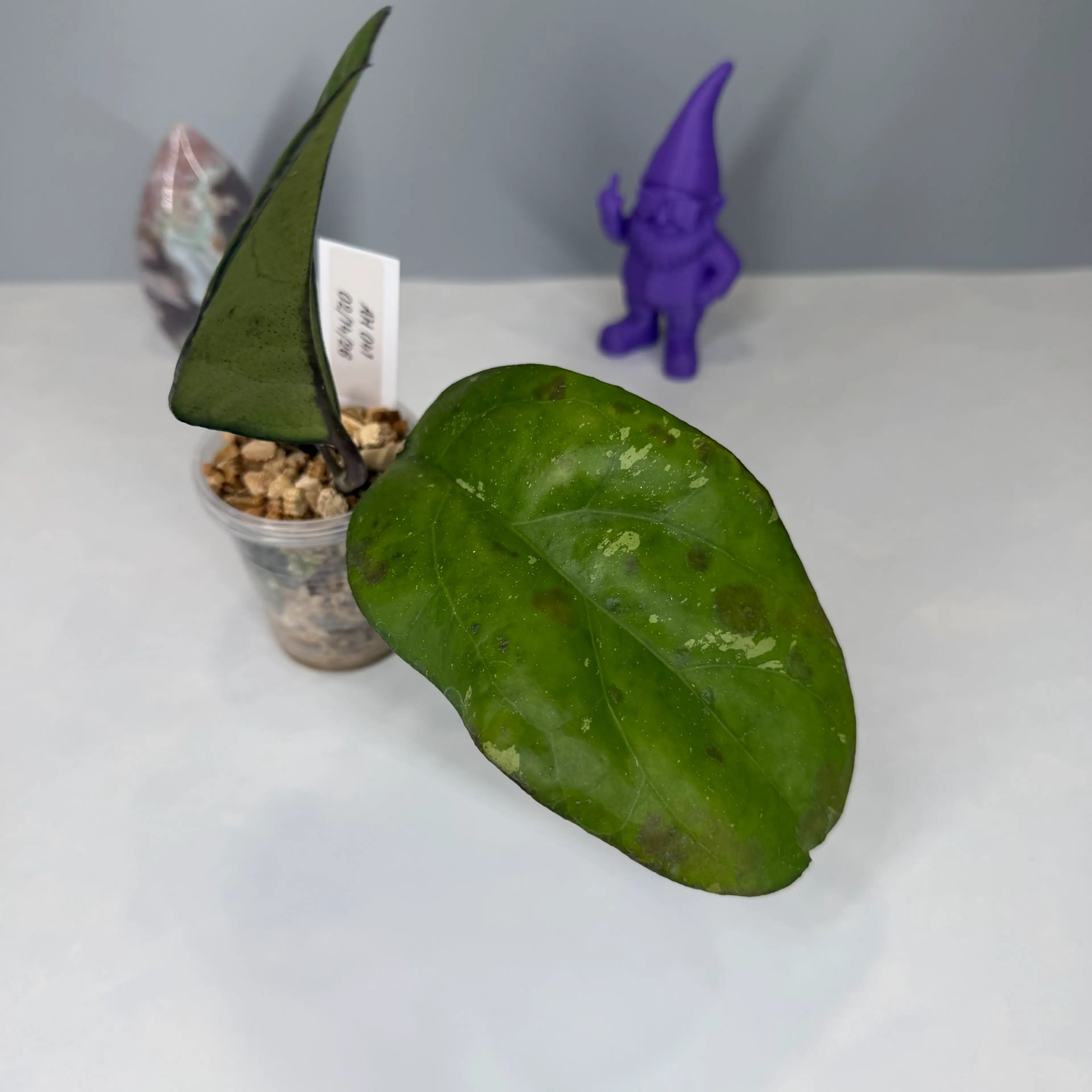 Image 4 of 4