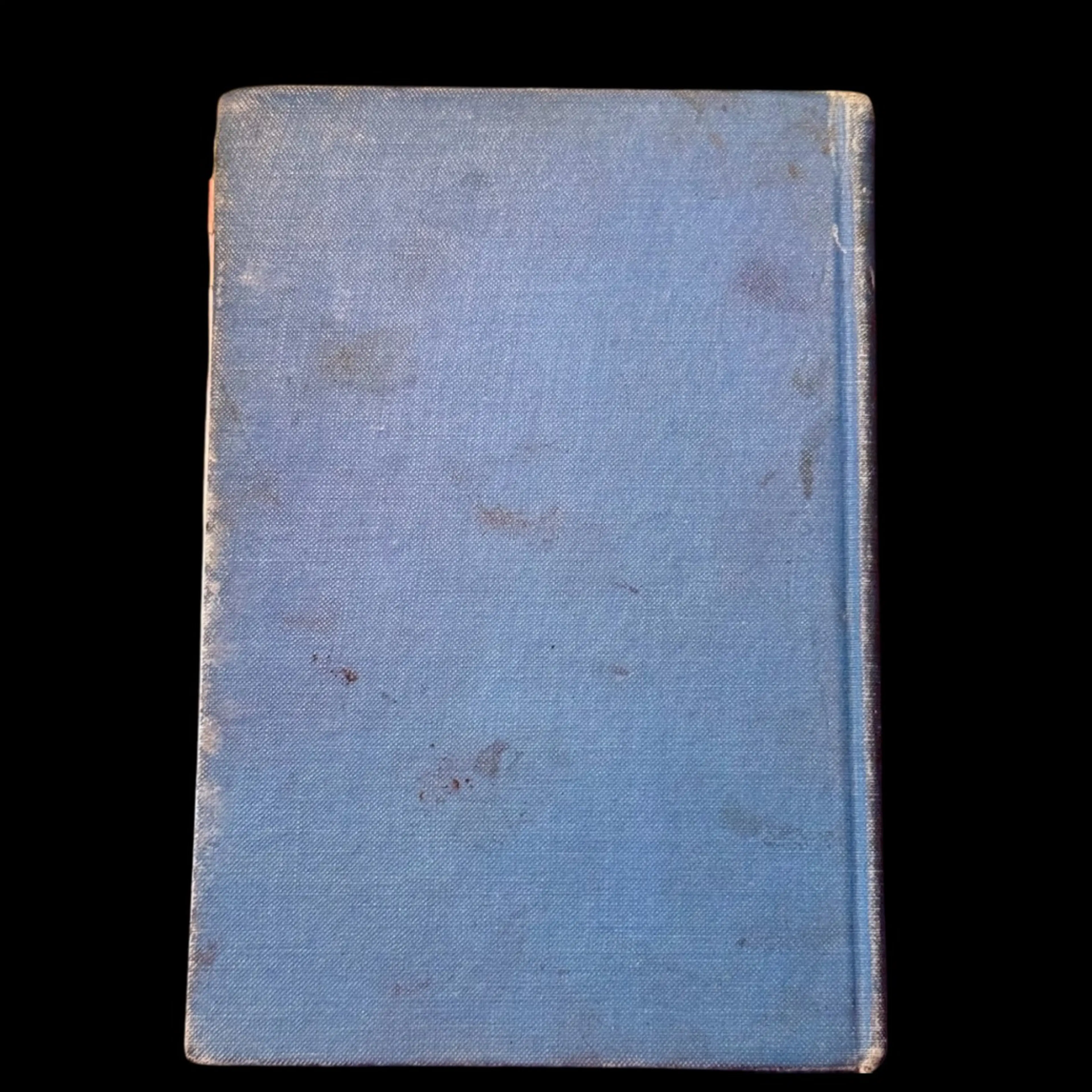 Image 2 of 13