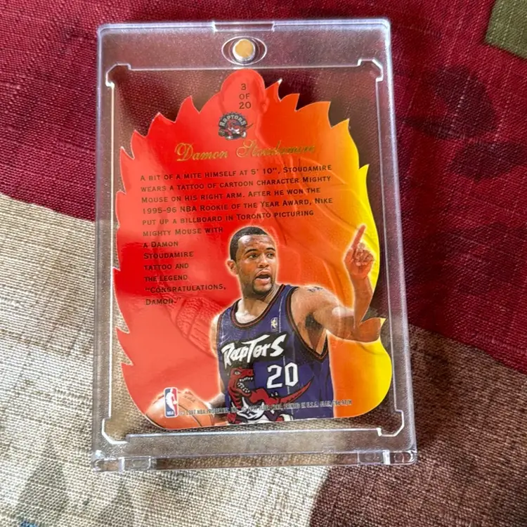 Hot Shots Damon Stoudamire
