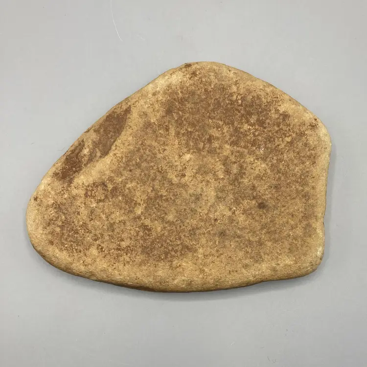 Hand Painted Drawn Rock with Spring Flower Design - 6"