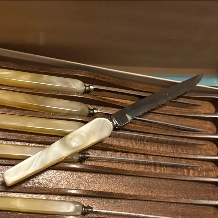 Forge Craft Steak Knives 6pc Lucite Swirl Handles w/Rack Vintage