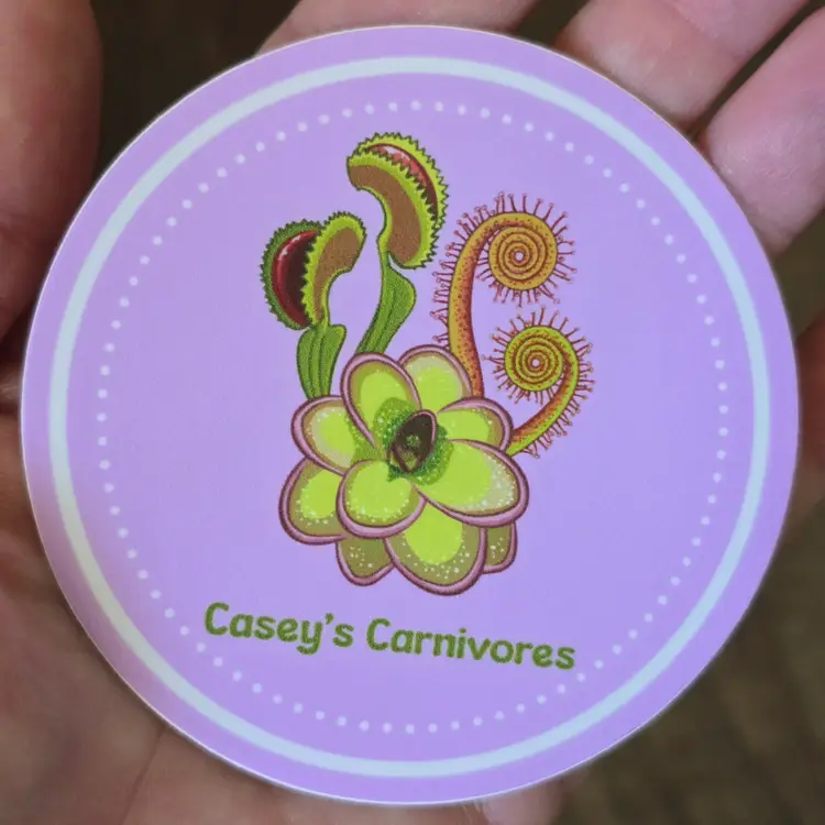 ADD-ON 3 inch round Casey's Carnivores sticker