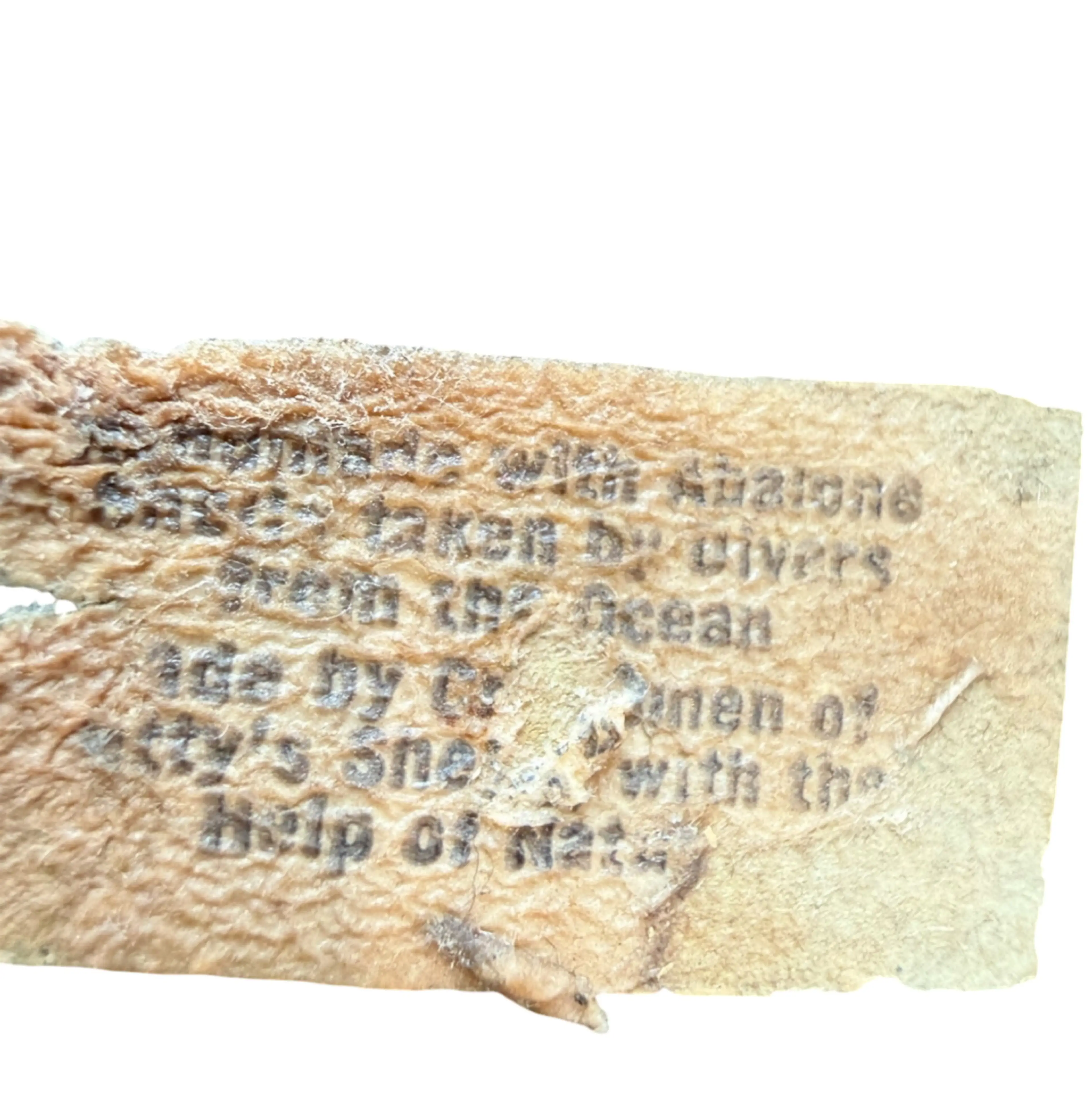 Image 4 of 4