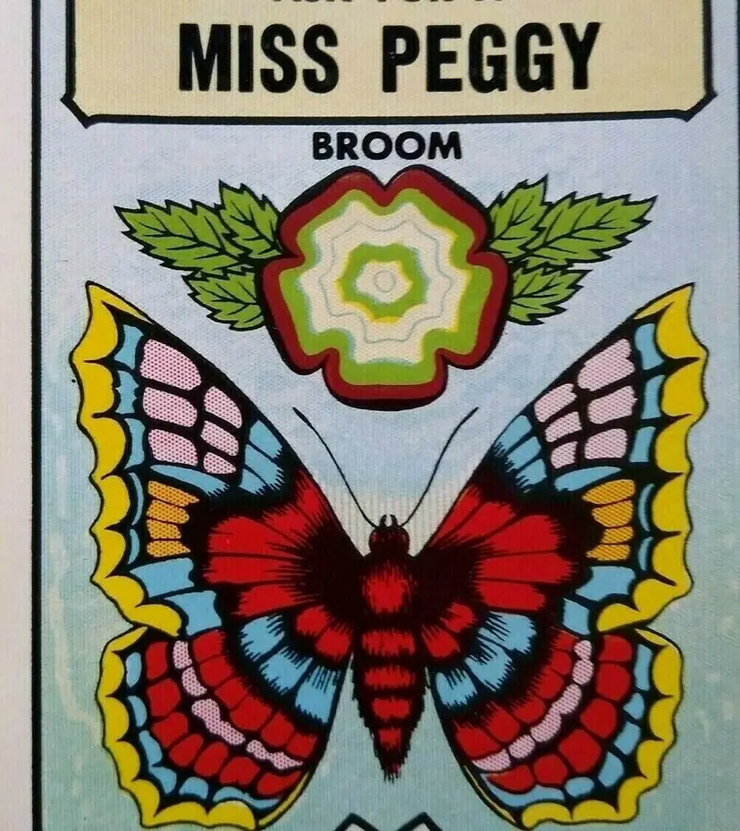 Miss Peggy Butterfly Wings Original Broom & Mops Label Johnson Lithograph Art
