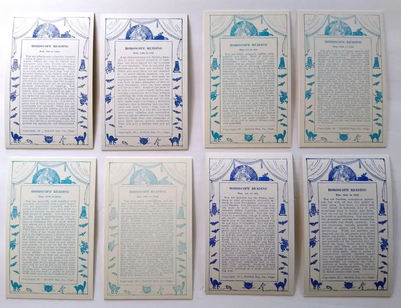 8 Horoscope Fortune Teller Arcade Game Machine Cards Exhibit Witch Black Cat Bat