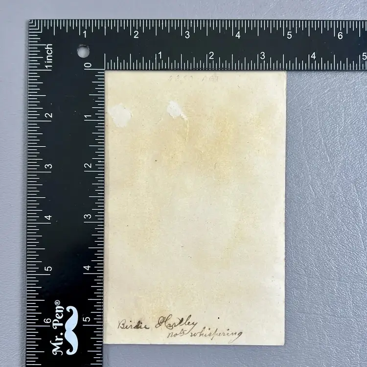 Victorian Trade Card Winter Scene Cottage Red Roses Rosebud Snow