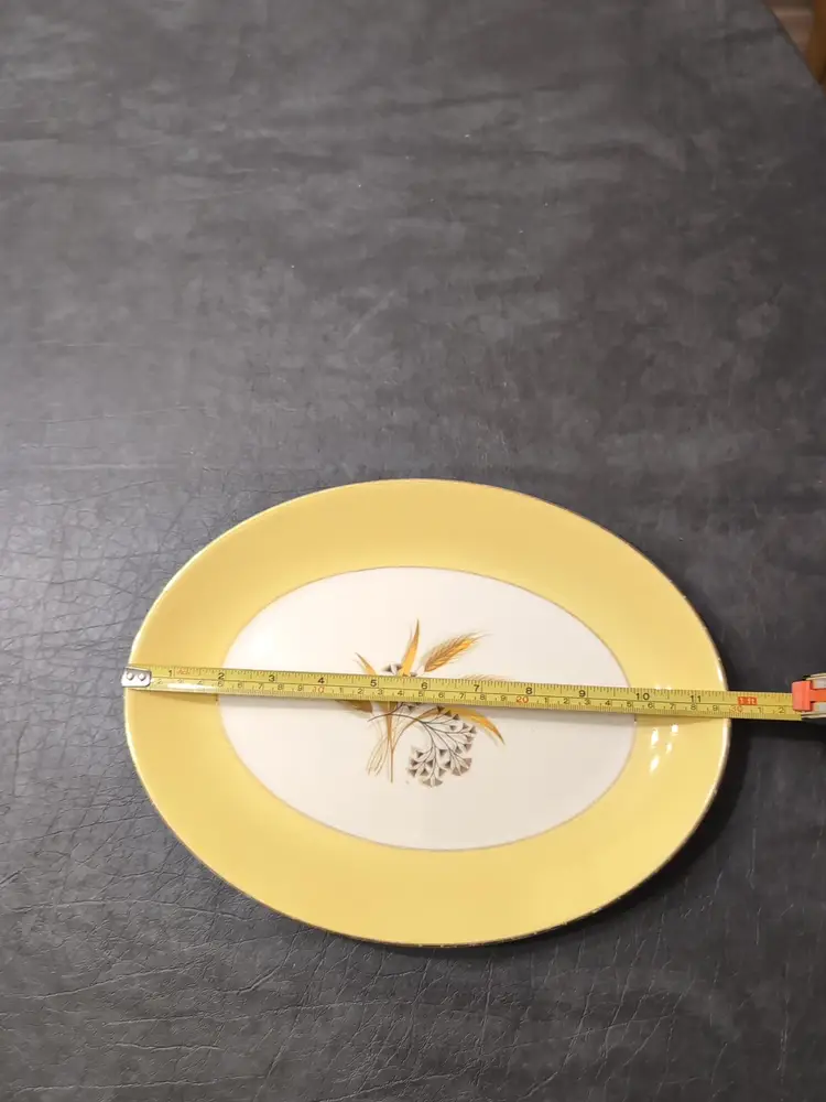 Vintage Century Service Autumn Gold Wheat Semi Vitreous Oval Plate Alliance Ohio