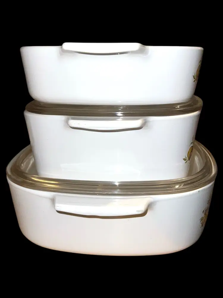 VTG Corning Ware Spice Of Life Casserole dishes cookware Set Of 3 With 2 Lids