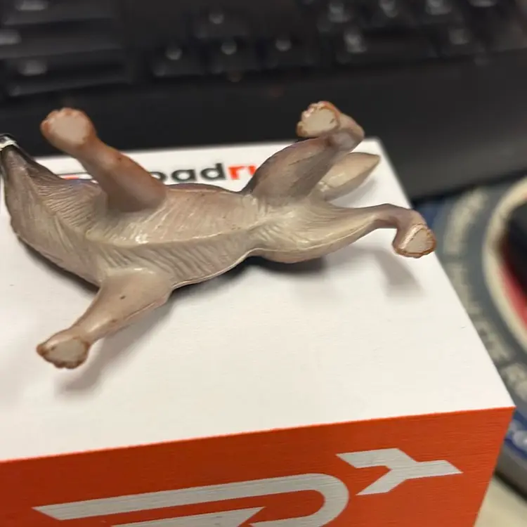 Order German Shepherd