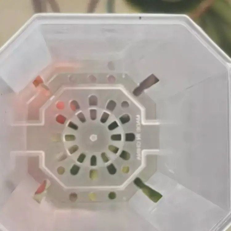 (5) 2.75” x 4” pots with drainage