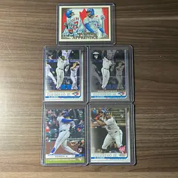 Vladimir Guerrero Jr Rookie Lot.