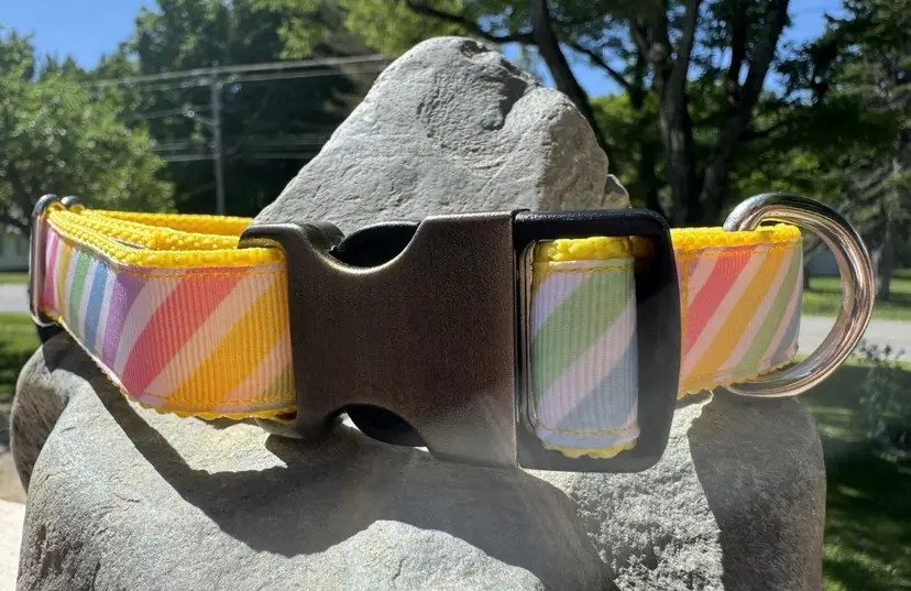 Dog Collar Rainbow Colors Large Handmade Heavy Duty With Buckle NEW