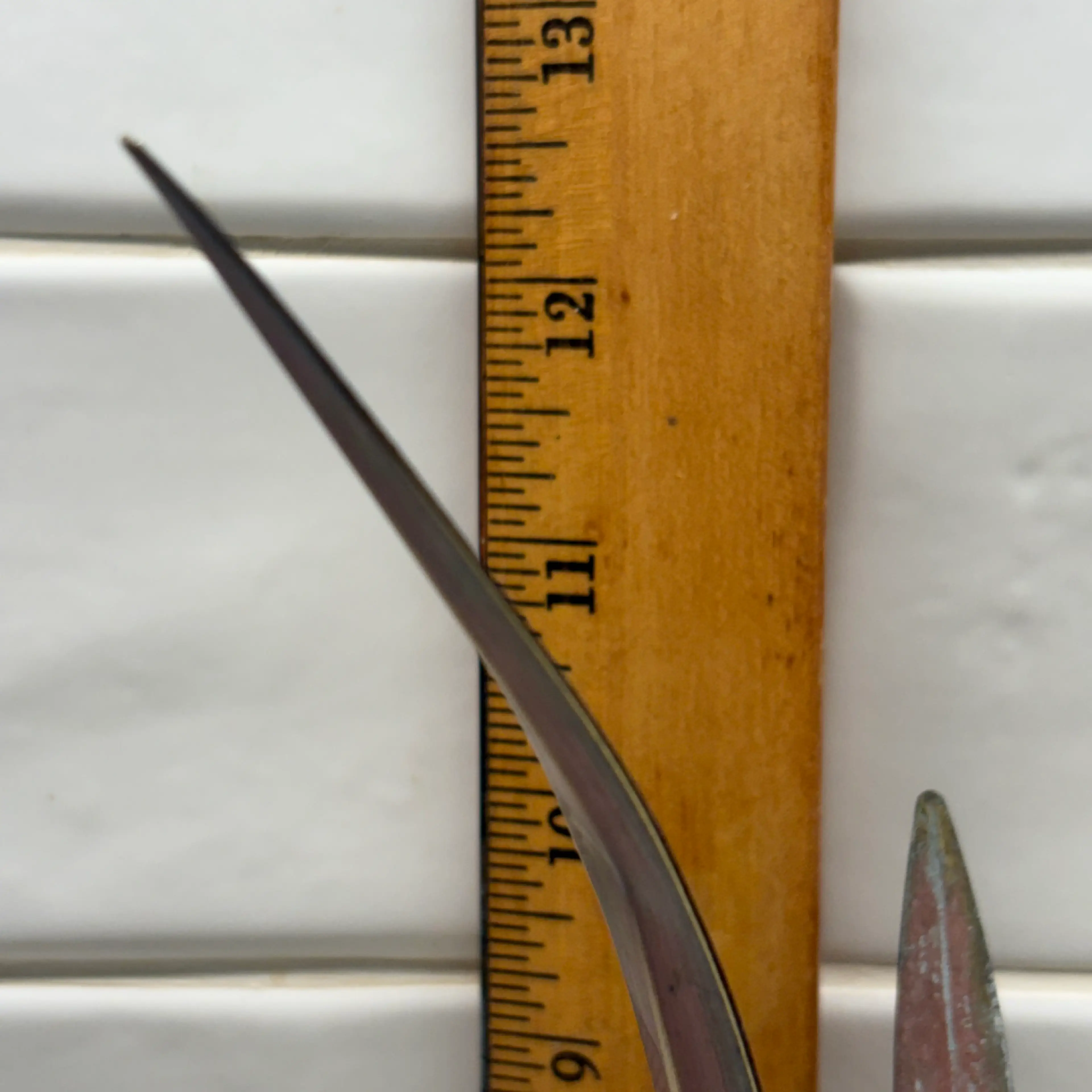 Image 5 of 6