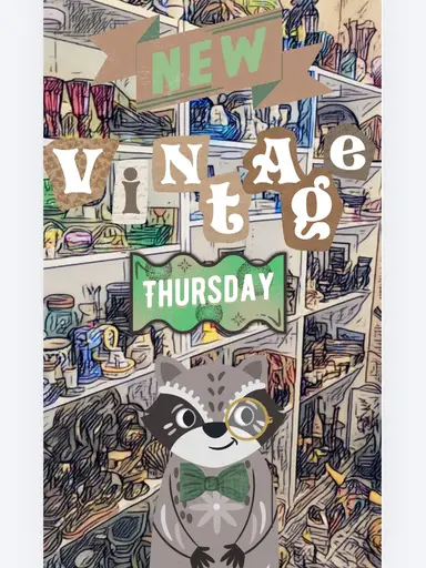 ✨️New in Bin✨️ Shop Shelves☘️ W/LivinginVintage 