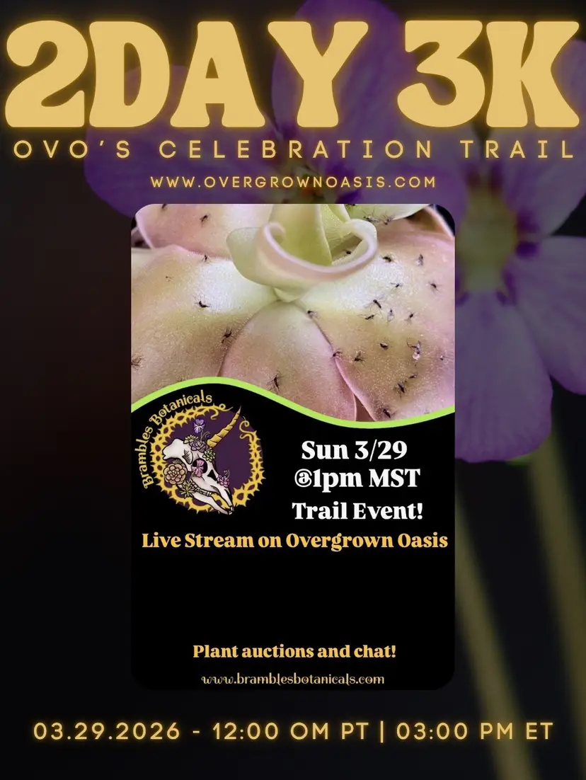 Livestream thumbnail