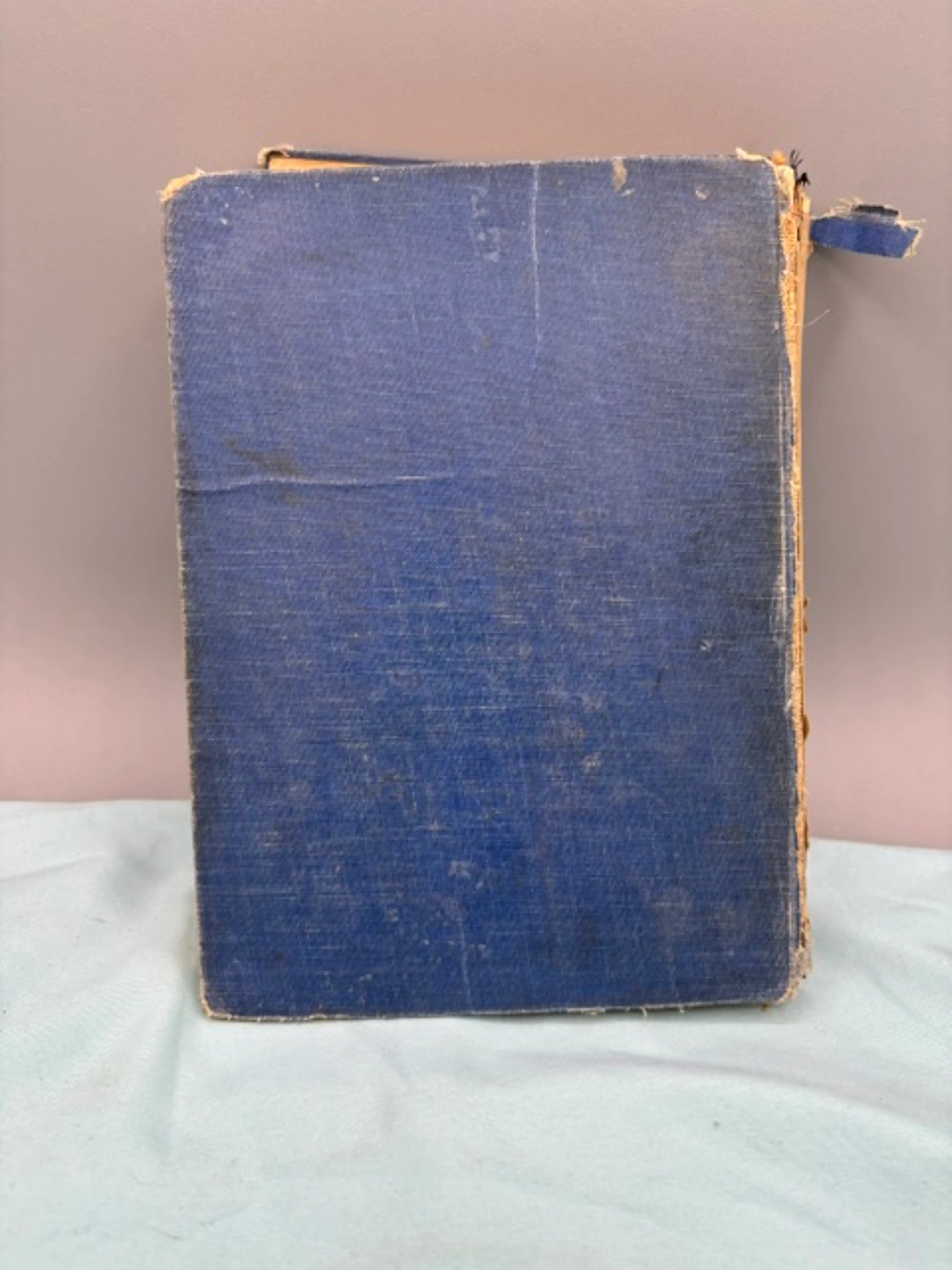 Image 3 of 3