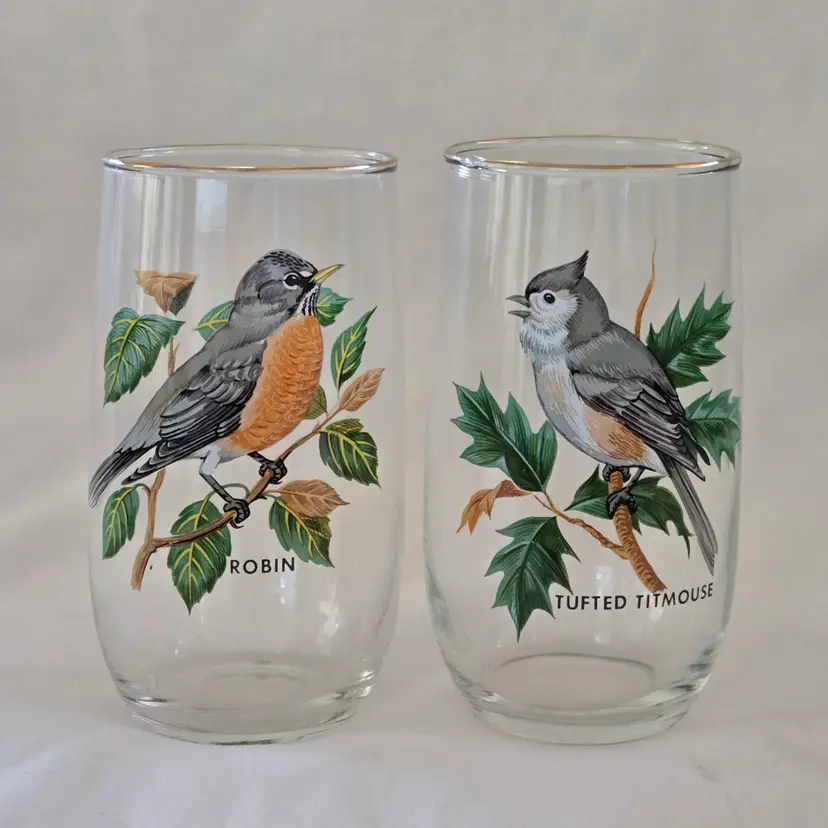 Song Bird Tumblers Drinking Glasses Gold Rim set of 2 West Virginia Glass Company Vintage