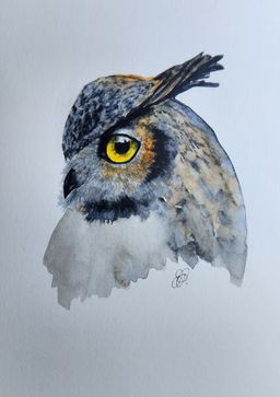 Great Horned Owl Original Watercolor Painting Signed By The Artist 5x7 Free Shipping