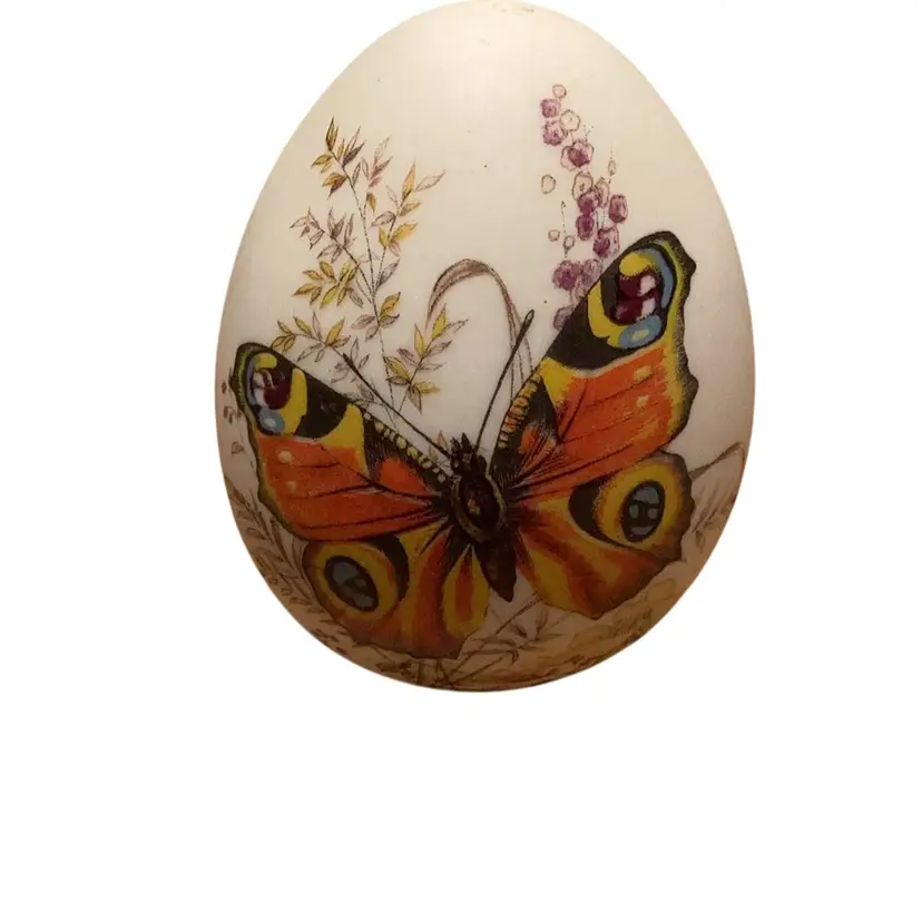 Butterfly Egg 🥚