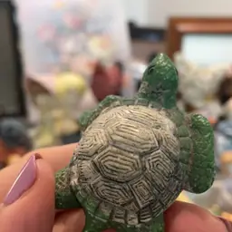 Mystery Turtle