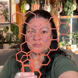 Base + 2 extensions - Modular Honeycomb Trellis - Matte Rust