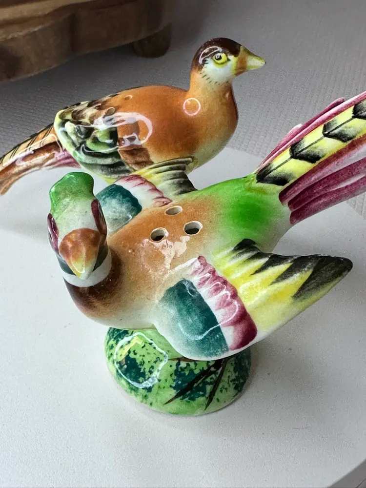 Salt And Pepper Shakers Of Birds