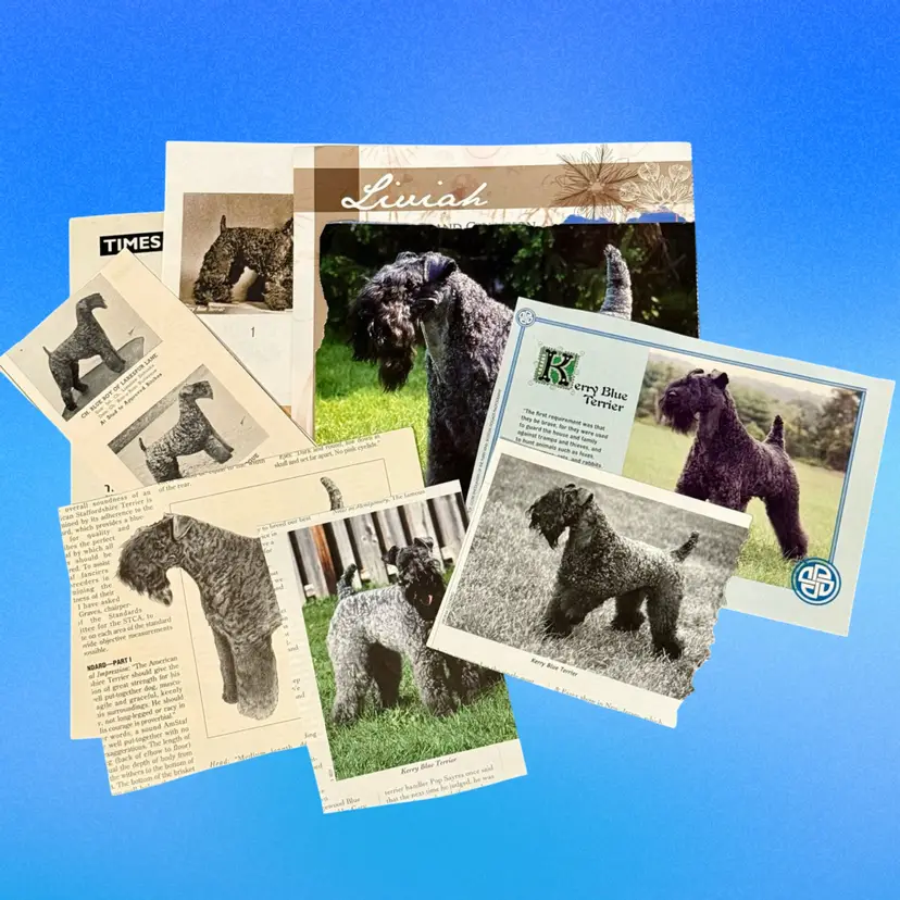Junk Journal Lot/9 Pieces Kerry Blue Terrier Dog Vintage Ephemera