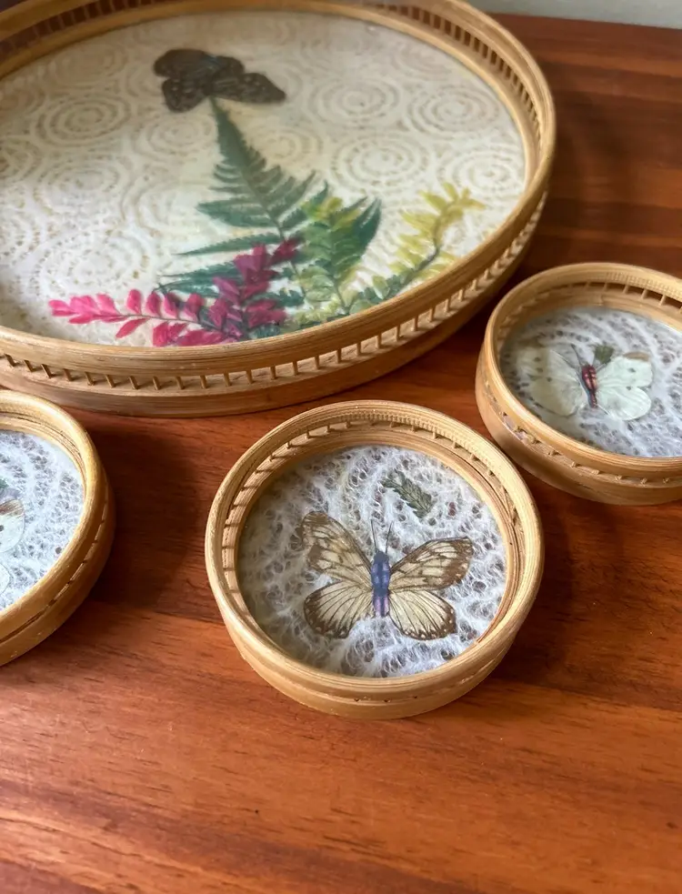 Vintage Pressed Butterfly Taxidermy Tray Coaster Set