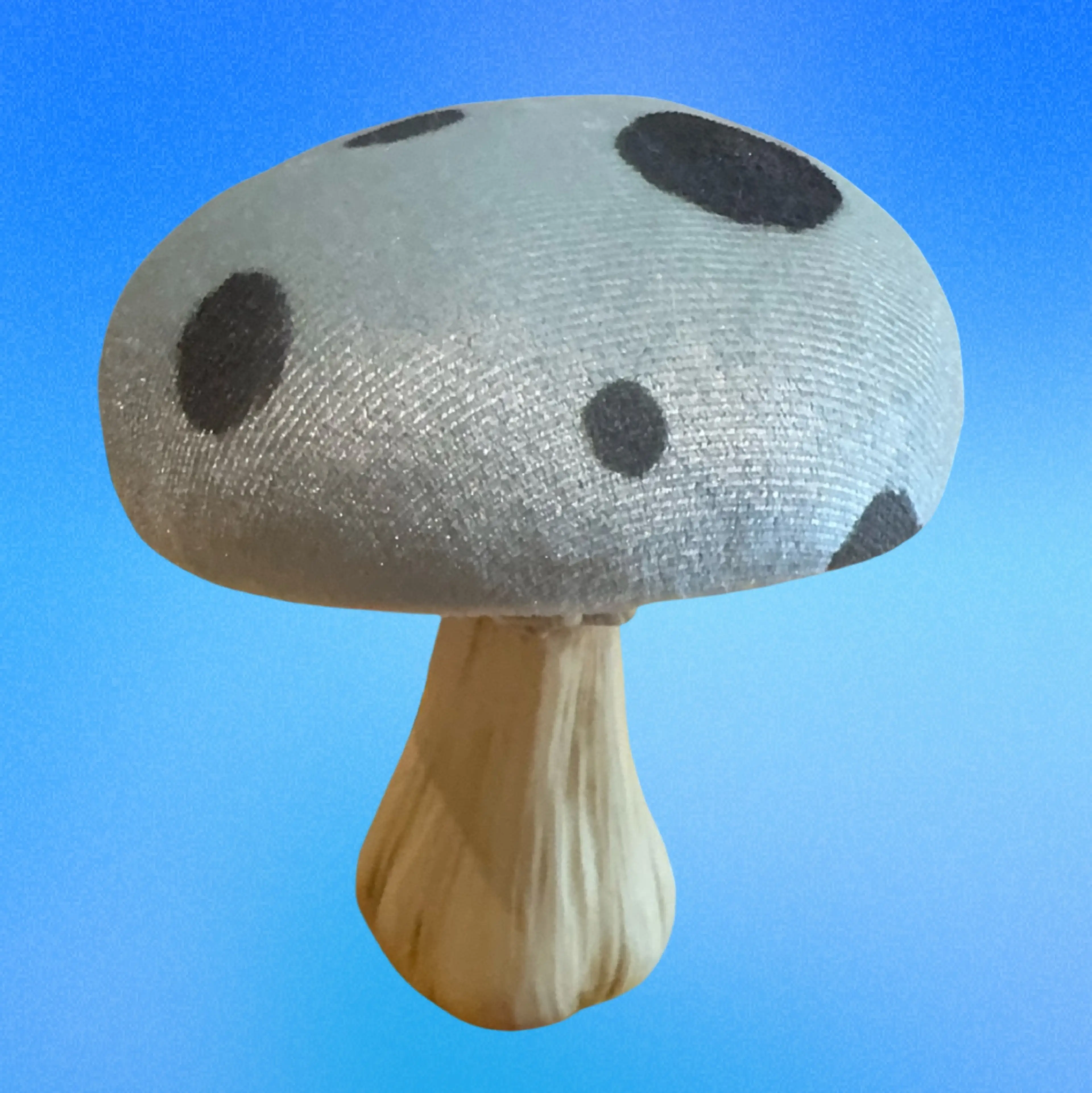 Image 2 of 5