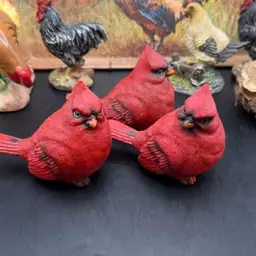 Cardinals Bundle 3pc