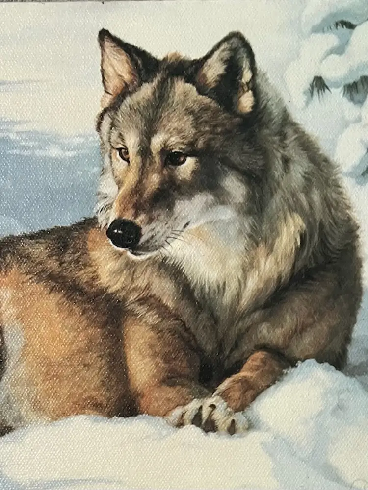Wolf Oil Painting 8x10 inch Mounted