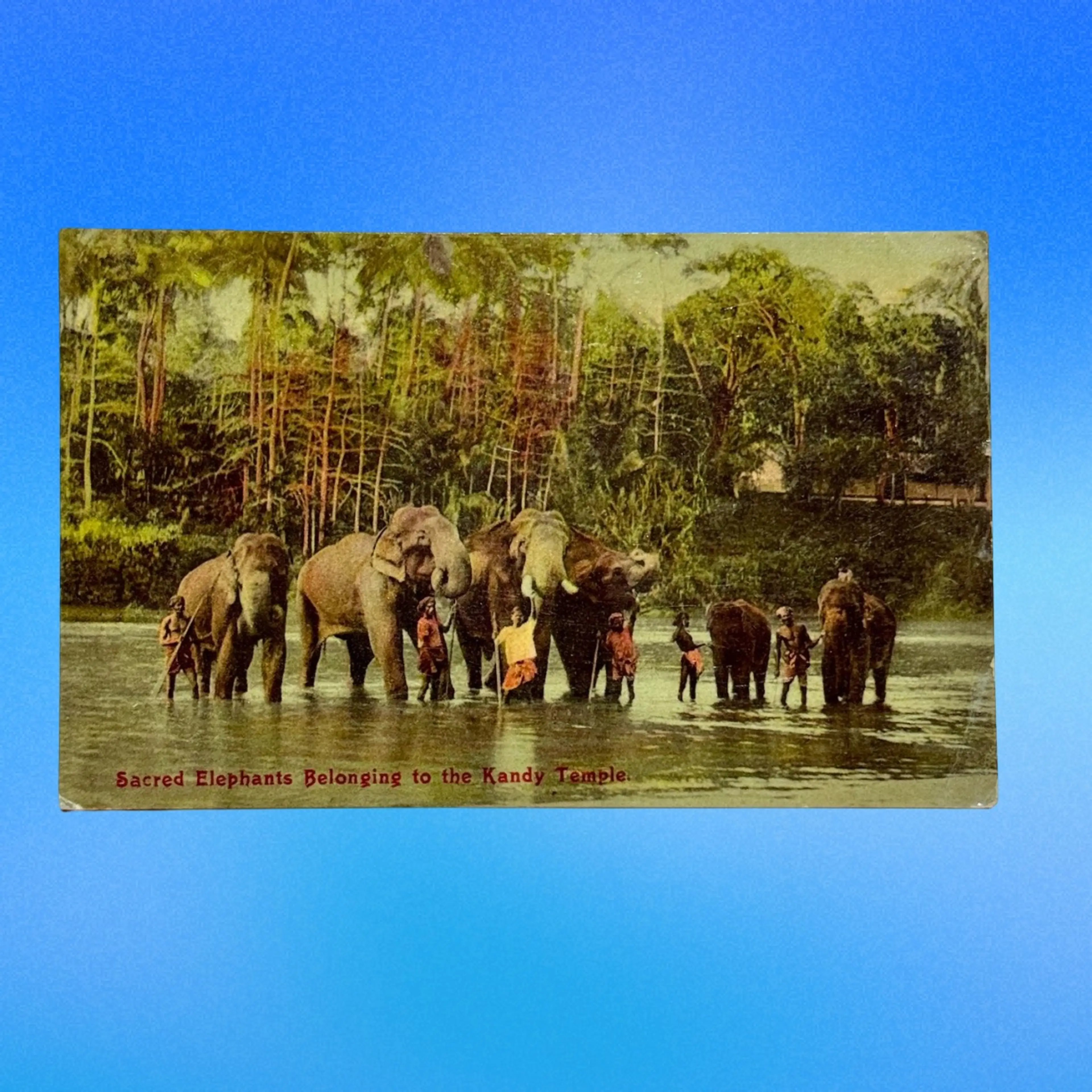 Image 1 of 7