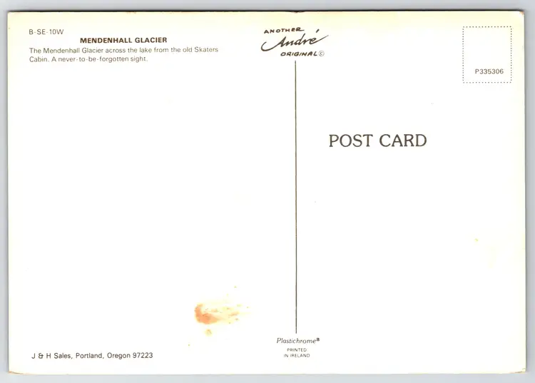 Postcard Fireweed Mendenhall Glacier from Old Skaters Cabin Alaska Glaciology