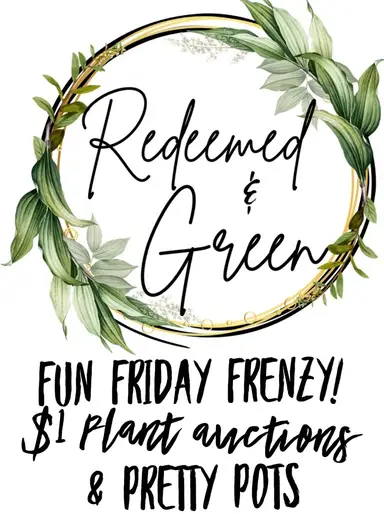 Friday Night Frenzy! 