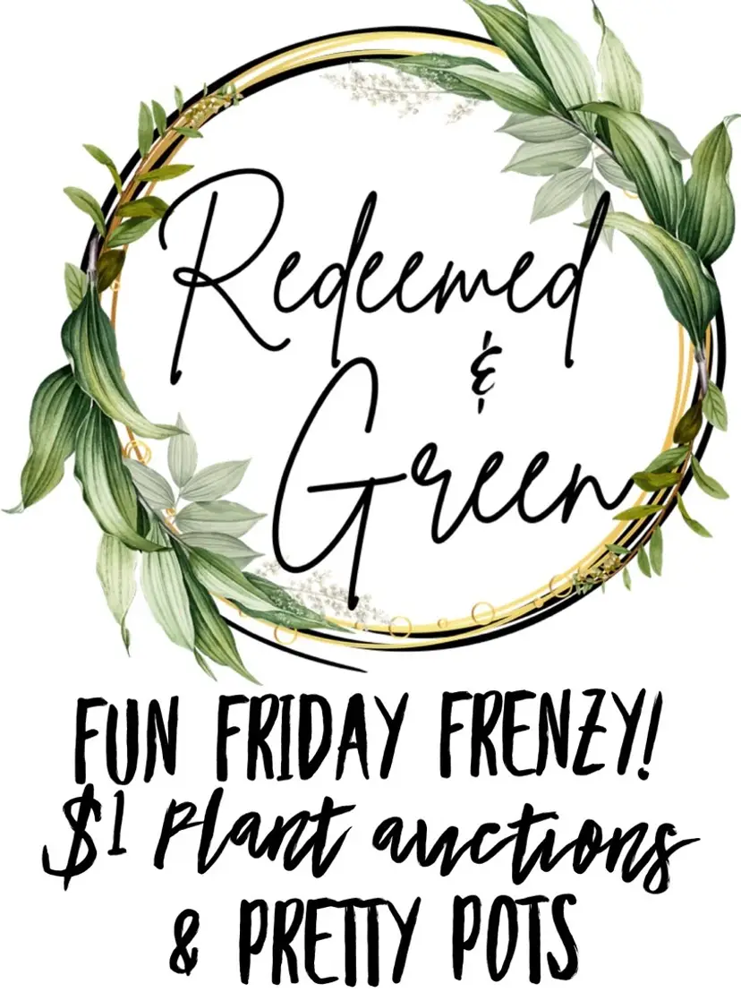 Livestream thumbnail