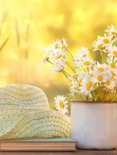 Lenox - Glass - Elephants- Trinkets- Hummels - Belleek