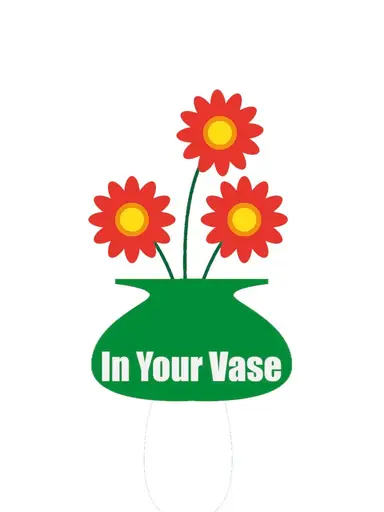 Minis, Buyers Choice