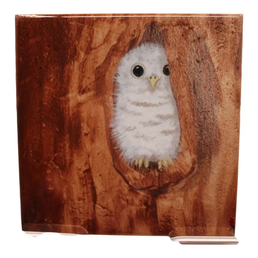 Artisan 4 1/4”x4 1/4” Owl Ceramic Tile