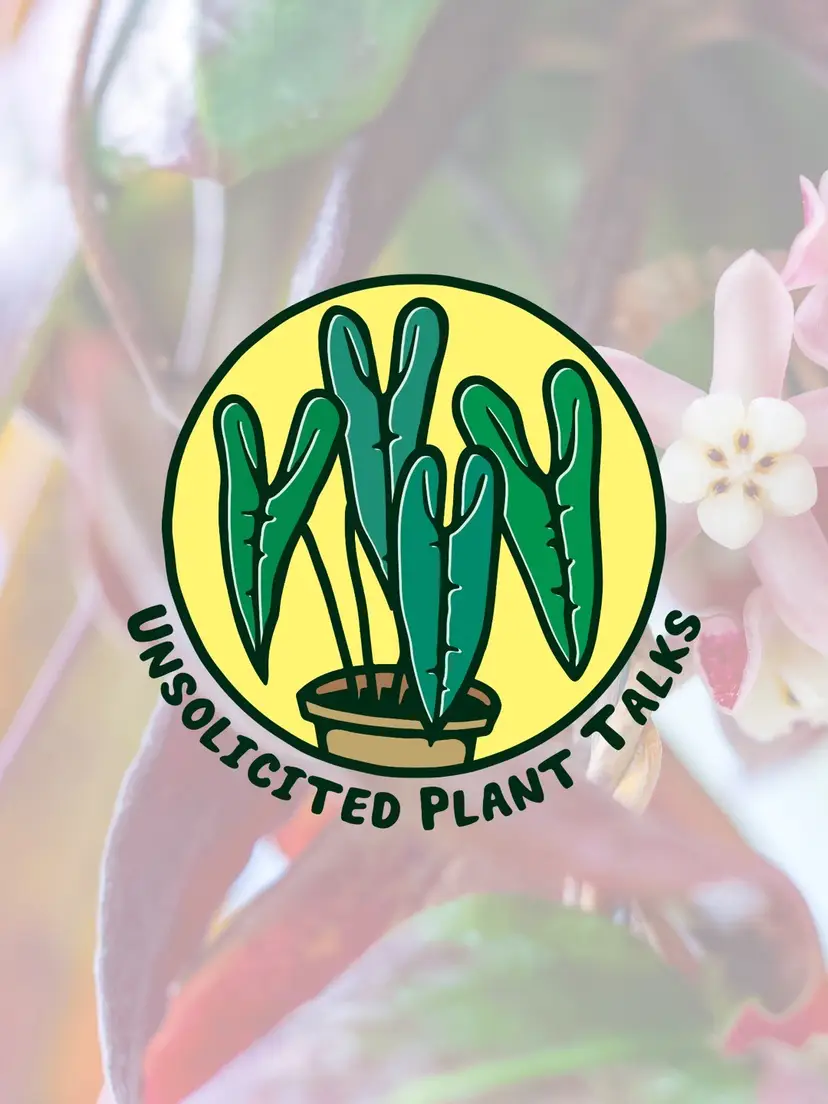 Livestream thumbnail