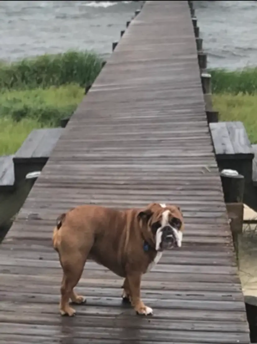 Livestream thumbnail