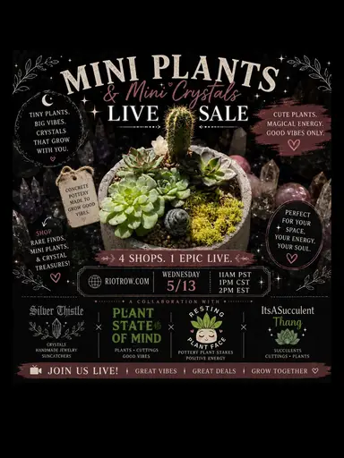Mini Plants/Crystals &Pottery Arrangements!!