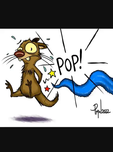 Pop In For My Pop-Up!