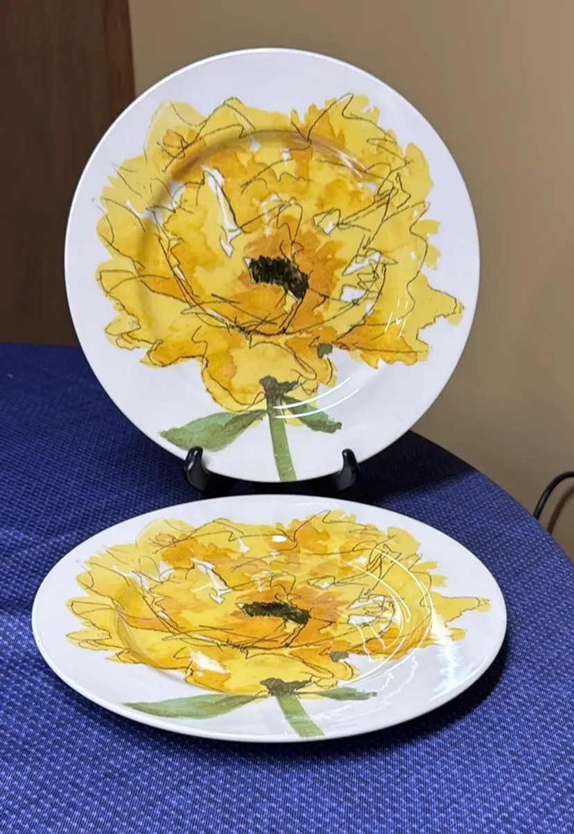 Royal Stafford Yellow Flower Dinner Plates England Black 11" Set 2