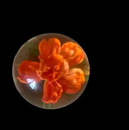 Orange Flower Paperweight 2 3/4 X 2 3/8 Inches
