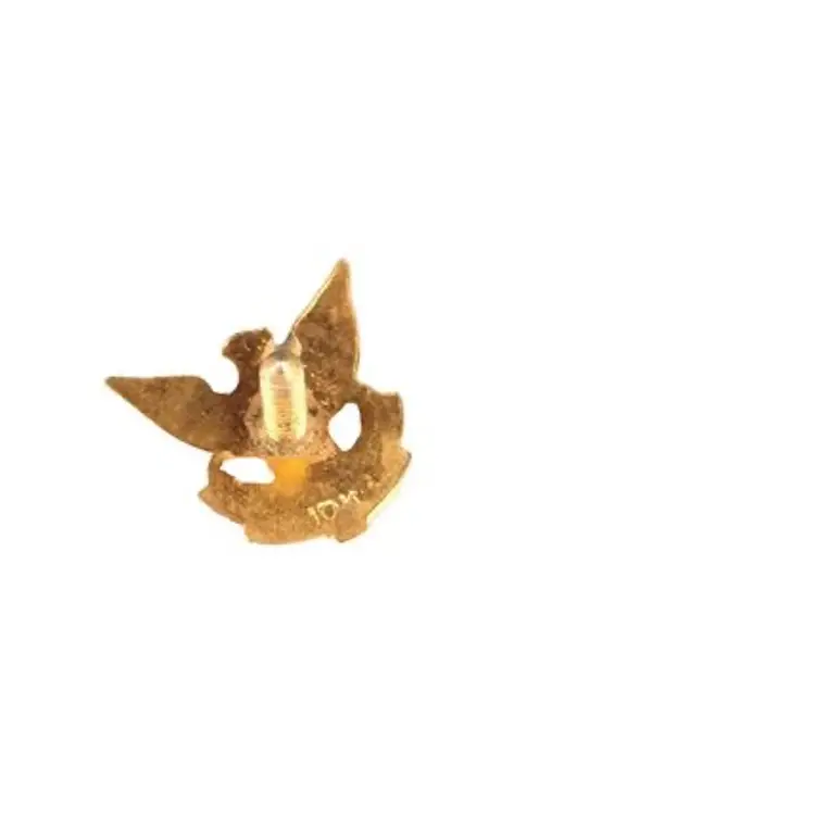 Vintage 10k Gold FOE Pin