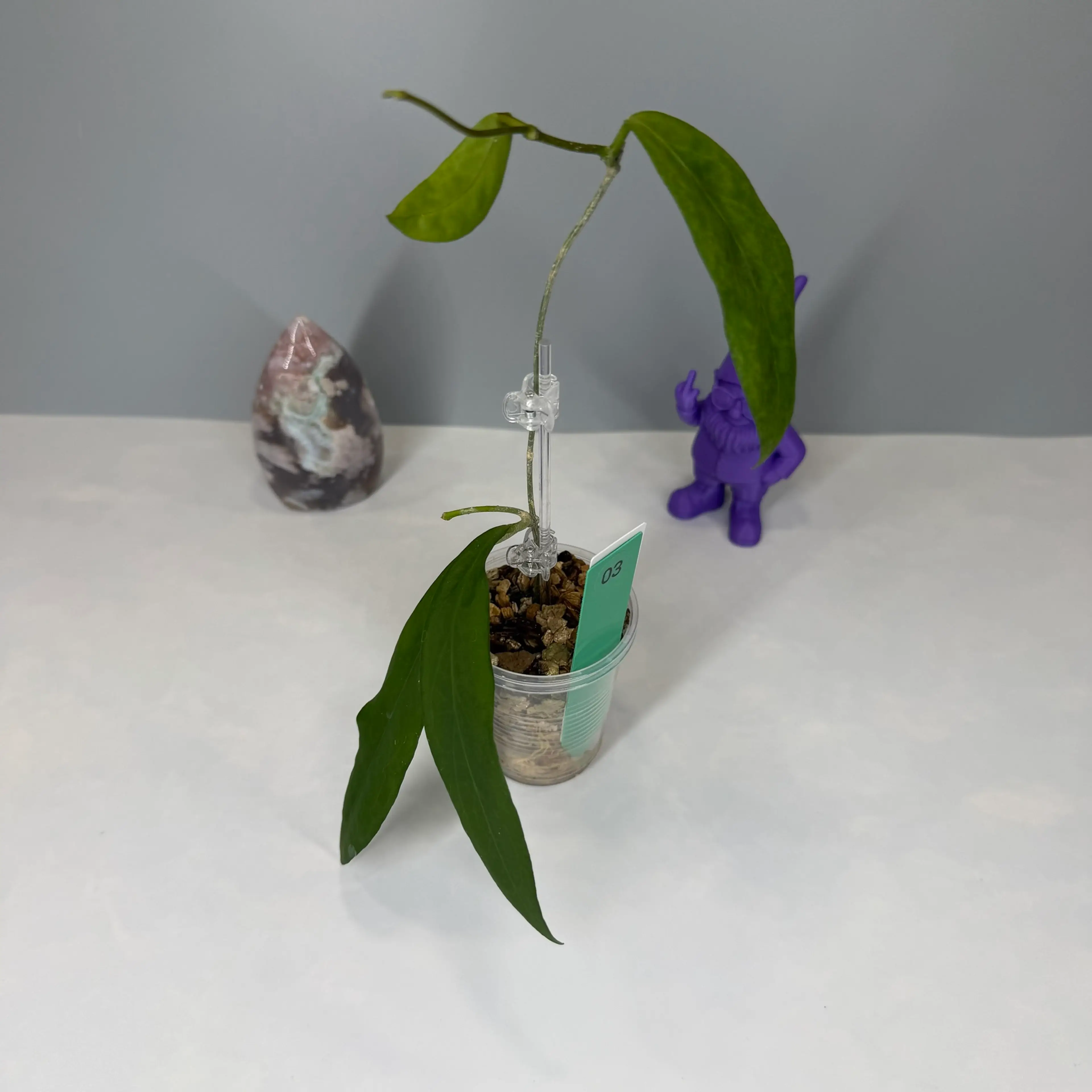 Image 2 of 2