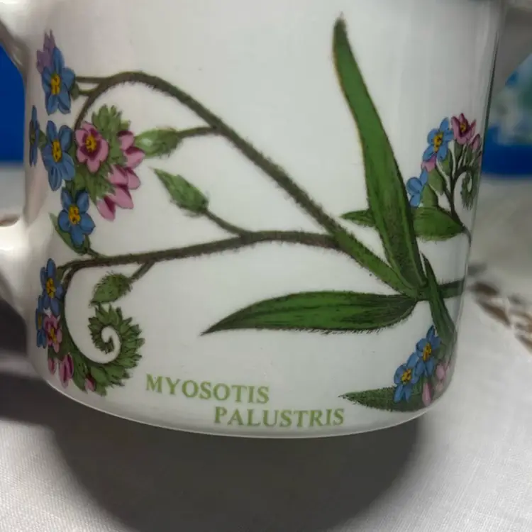 Vintage Portion Botanic Garden Drum Creamer Jug With Forget-me-nots.
( Myosotis Palustris)