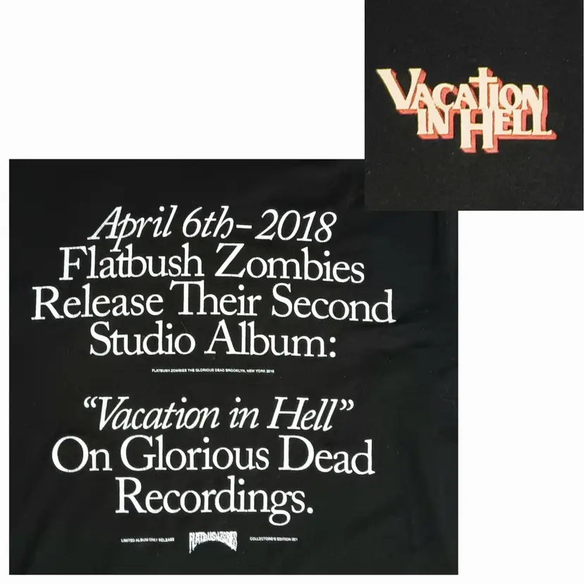 Flatbush Zombies Vacation In Hell t-shirt Rare Album Promo Rap Hip Hop concert